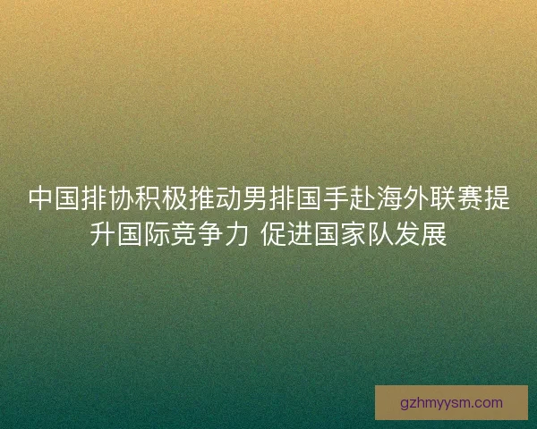 中国排协积极推动男排国手赴海外联赛提升国际竞争力 促进国家队发展 中国排协积极推动男排国手赴海外联赛提升国际竞争力 促进国家队发展