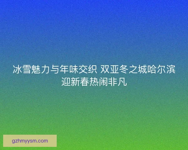 冰雪魅力与年味交织 双亚冬之城哈尔滨迎新春热闹非凡