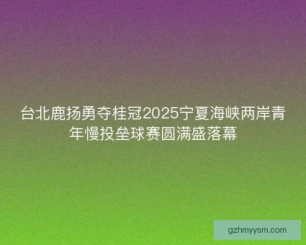 台北鹿扬勇夺桂冠2025宁夏海峡两岸青年慢投垒球赛圆满盛落幕 台北鹿扬勇夺桂冠2025宁夏海峡两岸青年慢投垒球赛圆满盛落幕